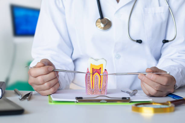 Best Broken or Cracked Tooth Emergency Dentist in Hailey, ID